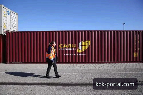 KOK中欧官网与普通入口对比：中欧平台直达使用指南教你如何避开陷阱